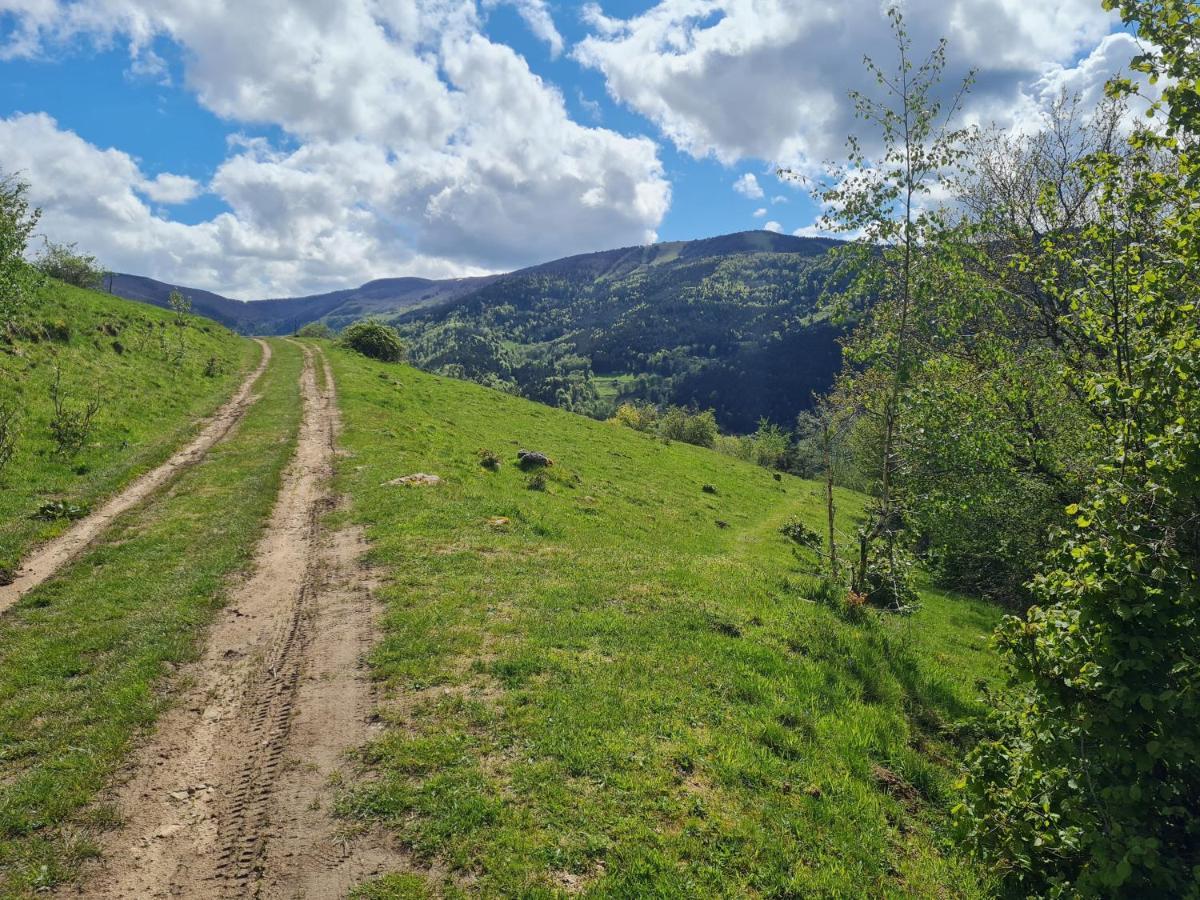 Sondernach Spacieux Et Confortables Gites A Proximite Randonnees, Lacs, Ski Nature מראה חיצוני תמונה