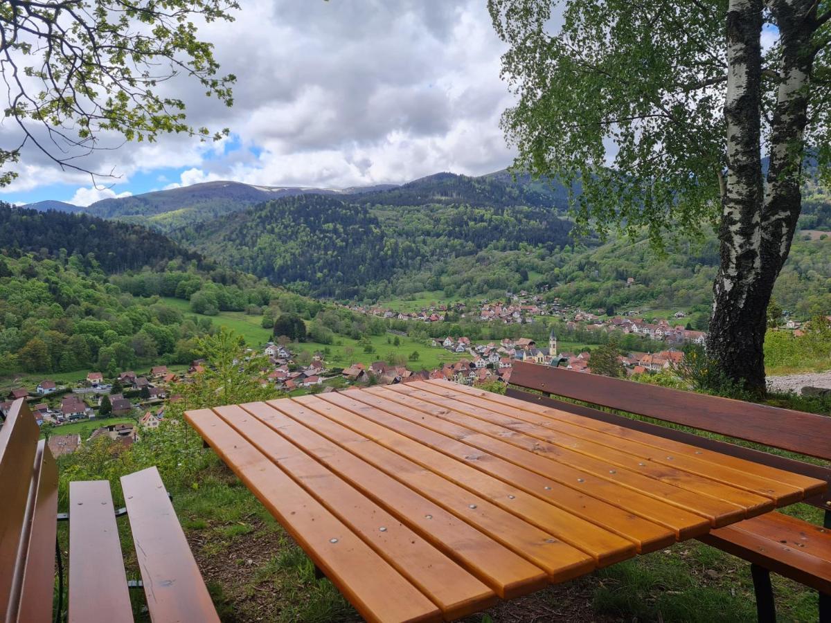 Sondernach Spacieux Et Confortables Gites A Proximite Randonnees, Lacs, Ski Nature מראה חיצוני תמונה