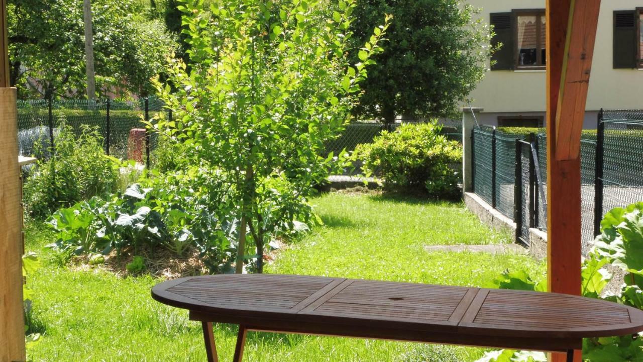Sondernach Spacieux Et Confortables Gites A Proximite Randonnees, Lacs, Ski Nature מראה חיצוני תמונה