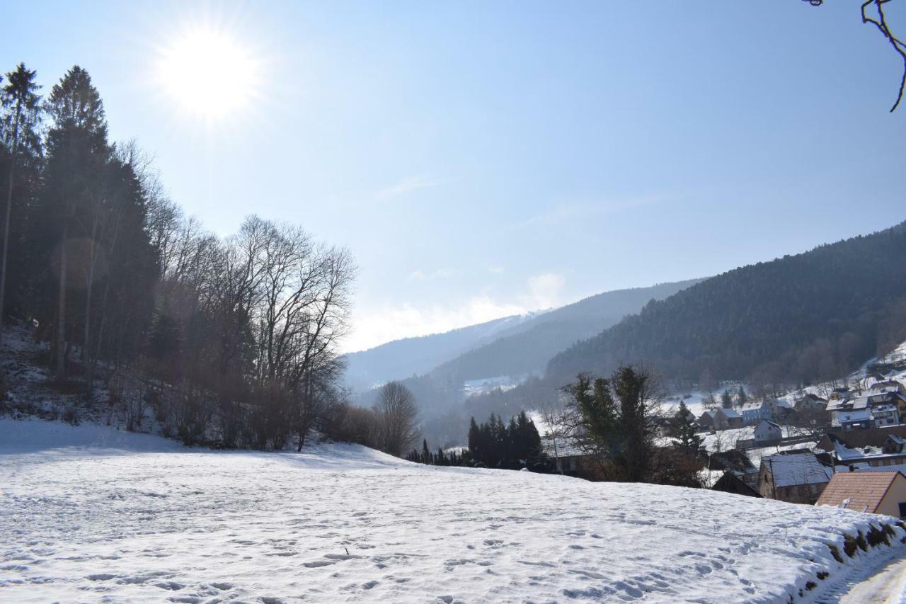 Sondernach Spacieux Et Confortables Gites A Proximite Randonnees, Lacs, Ski Nature מראה חיצוני תמונה